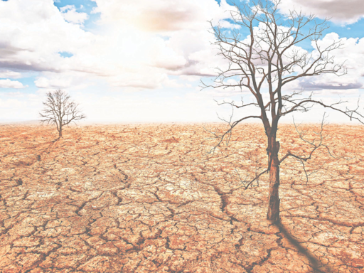 Dead tree emoji: A digital plea for climate awareness