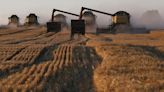 Trigo tem maior ganho semanal desde o início da guerra na Ucrânia com temores climáticos Por Reuters