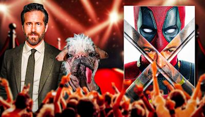 Deadpool & Wolverine's Ryan Reynolds reveals real name of Dogpool, Britain's Ugliest Dog award winner