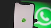 WhatsApp boss claims 'tens of millions' secretly use service despite bans