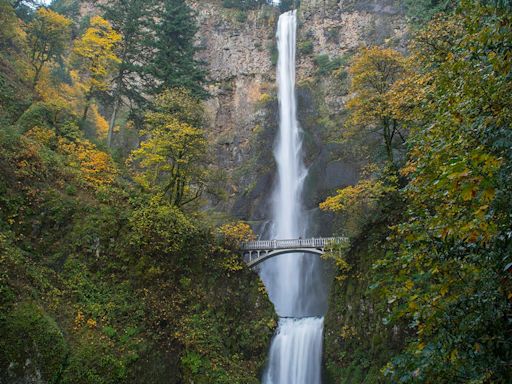 Oregon hiker, 22, dies at Columbia River Gorge after falling off a cliff