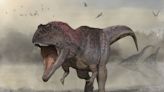 Why some dinosaurs like T Rex were massive while their close relatives were tiny