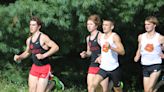 Livingston County cross country honor roll through Spartan, Holly invites