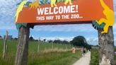 We visited Noah's Ark Zoo Farm ahead of the summer holidays