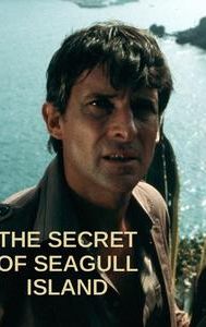 The Secret of Seagull Island