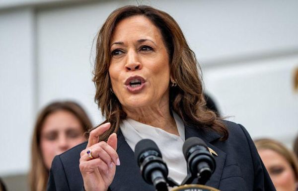 Kamala Harris attacks Trump over 'fear and hate' at first rally