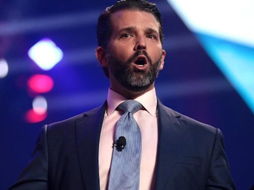 'Astounding lack of awareness': Don Jr. raked over coals for mocking CNN anchor's hair