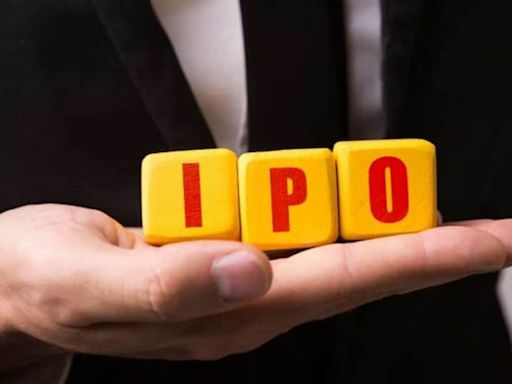 IPO rush: Hyundai, Swiggy, NTPC Green Energy among companies looking to raise ₹60,000 crore in Oct-Nov