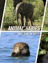 Animal Babies: First Year on Earth