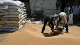 World Crop Trade Eyes India as New Government May Relax Curbs