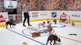 Rescue pups battle for 'wagging' rights in 'Stanley Pup' series ahead of NHL finals