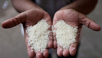 India allows non-basmati white rice exports in boost for global supplies