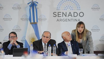 Fuerte presión K a senadores radicales y provinciales para que voten en contra y caiga la Ley Bases