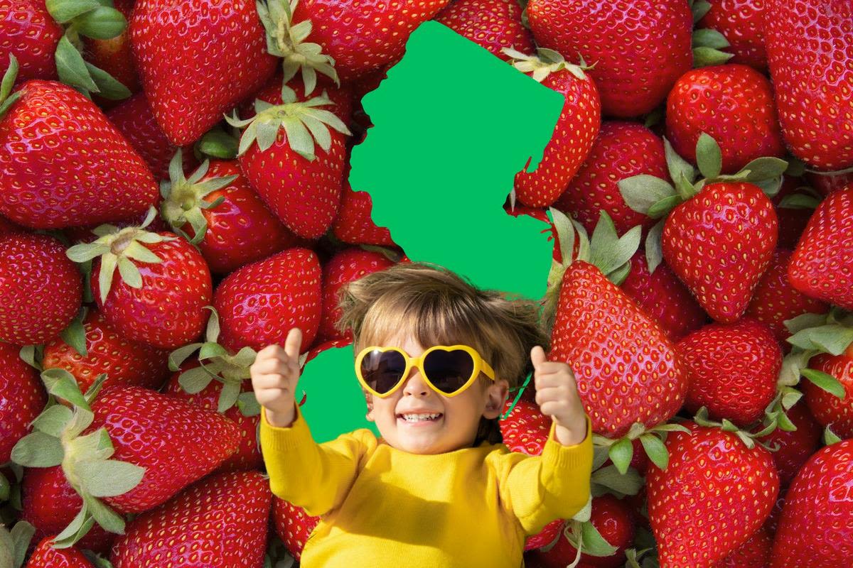 Jersey Strawberry Festivals Happening This Spring in South Jersey