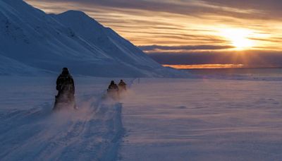 Cómo es Longyearbyen, la ciudad donde están prohibidos los gatos