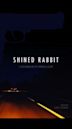 Shined Rabbit
