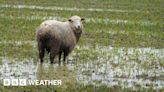 UK wet weather: The impact on farming and food prices