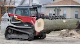 Years into the emerald ash borer infestation, Sheboygan continues to treat standing trees and recycle dead ones