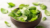 How to Store Basil to Maximize Its Shelf Life