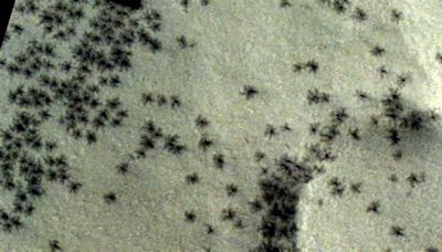 ‘Ice Spiders’ On Mars Star In Spacecraft Snapshots