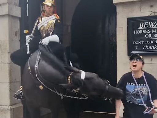 King's Guard horse bites tourist who got too close as woman faints in horror