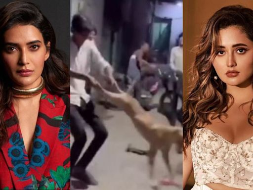 Rashami Desai & Karishma Tanna Want IMMEDIATE Action Against Man Who SPINNED & THREW A Stray Dog: 'Mentally Challenged...