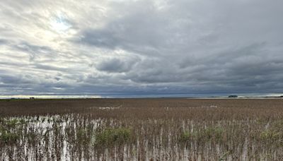 Las inundaciones en Uruguay dejan más de 2.000 desplazados y plantaciones afectadas