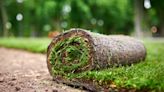 How Much Does Sod Cost to Install?