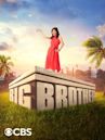 Big Brother - Season 23