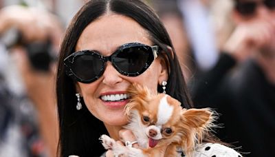 Demi Moore's Tiny Dog Pilaf, Who the Star Takes 'Everywhere,' Gets Her Own “Vogue” Cover