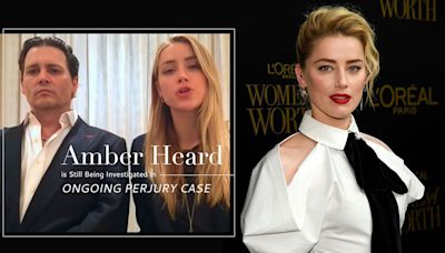 當時 Johnny Depp 還陪著道歉！Amber Heard 偷渡寵物事件，澳洲政府正展開調查 ‧ A Day Magazine