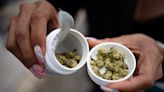 US, Canadian pot firms eye Germany for growth as market stagnates at home