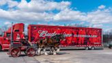 Budweiser Clydesdales East Coast Hitch visiting Warm Springs Ranch this weekend