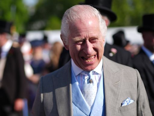 King hosts garden party with senior royals as Prince Harry misses reunion