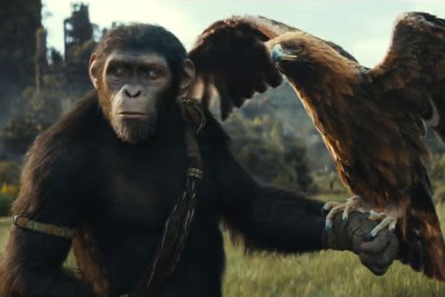 “Kingdom of the Planet of the Apes” gets its paws all over the damn dirty box office with No. 1 debut