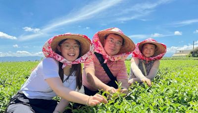 松嶺茶鄉體驗營 參山邀大家來當一日製茶師