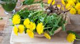 Dandelion Greens Are Nutrition Superstars: A Chef Reveals How to Make Them Delicious