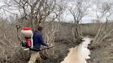 Mosquito forecast for Cape Cod? Think wet weather and yard vigilance