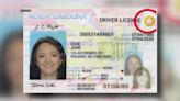 REAL ID required to fly in the US starting in 2025: What North Carolinians should know