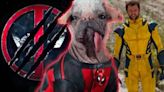 Deadpool 3 Gets New Release Window, Ryan Reynolds Teases Dogpool Appearance