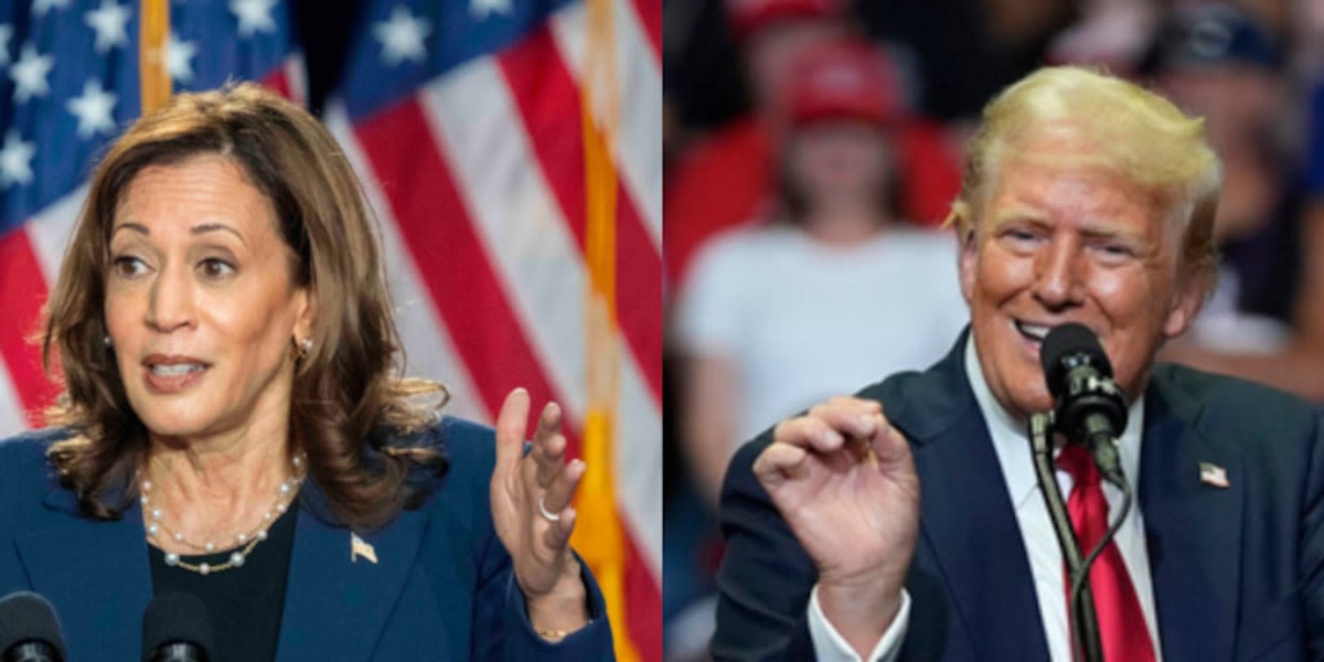 What new poll numbers say about Trump vs. Harris in Florida