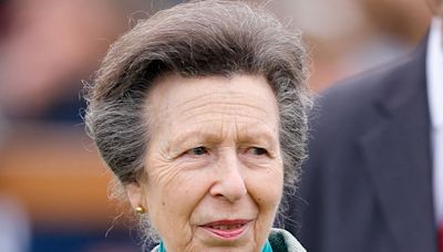 Royal Family Releases Striking Photo of Princess Anne Standing Alone While Receiving Huge Honor