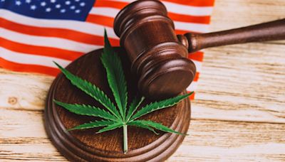 Which States Have Legalized Marijuana for Recreational or Medical Use?