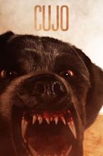 Cujo (film)