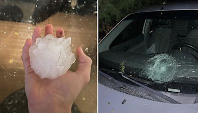 Photos show downed Twin Cities trees after overnight storms, large hail in other parts of Minnesota