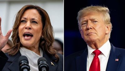 Kamala Harris finally fields questions from press after dodging media for 18 days since becoming Dem nominee