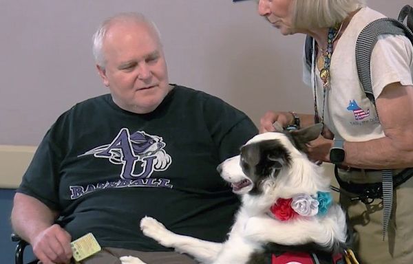 Therapy dogs spread sunshine to seniors