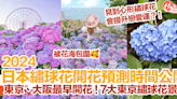 【日本繡球花2024】日本繡球花開花預測時間公開！東京、大阪最早開花！7大東京繡球花景點推介！ | HolidaySmart 假期日常