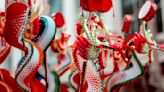 What the Year of the Dragon means for you this Lunar New Year