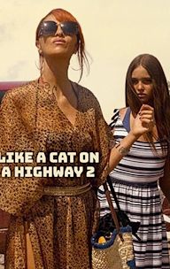 Like a Cat on a Highway 2